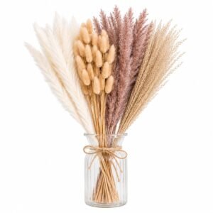 Dried Pampas Grass 100 Stems